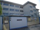 寝屋川市立楠根小学校(小学校)まで350m メゾンエイコ－寝屋川Ａ棟