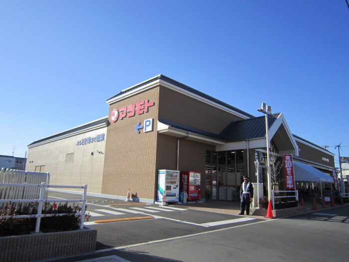 マツモト桂東店(スーパー)まで250m リバティハウス樟家