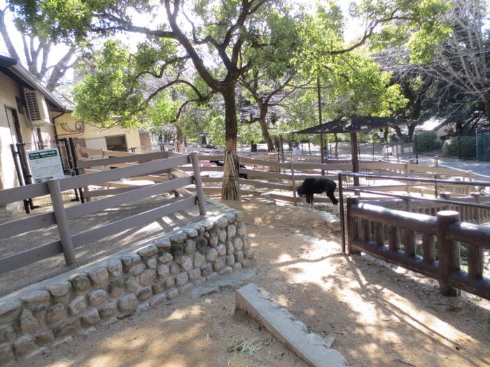 五月山動物園(公園)まで1400m メゾン五月丘