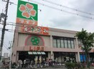 ライフ(スーパー)まで500m エクレ－ル