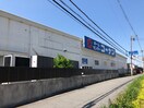 コーナン(電気量販店/ホームセンター)まで283m ハイツマルシェⅡ