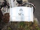 その他 Ｍｓ