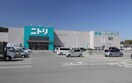 ニトリ(電気量販店/ホームセンター)まで1000m エンブレス