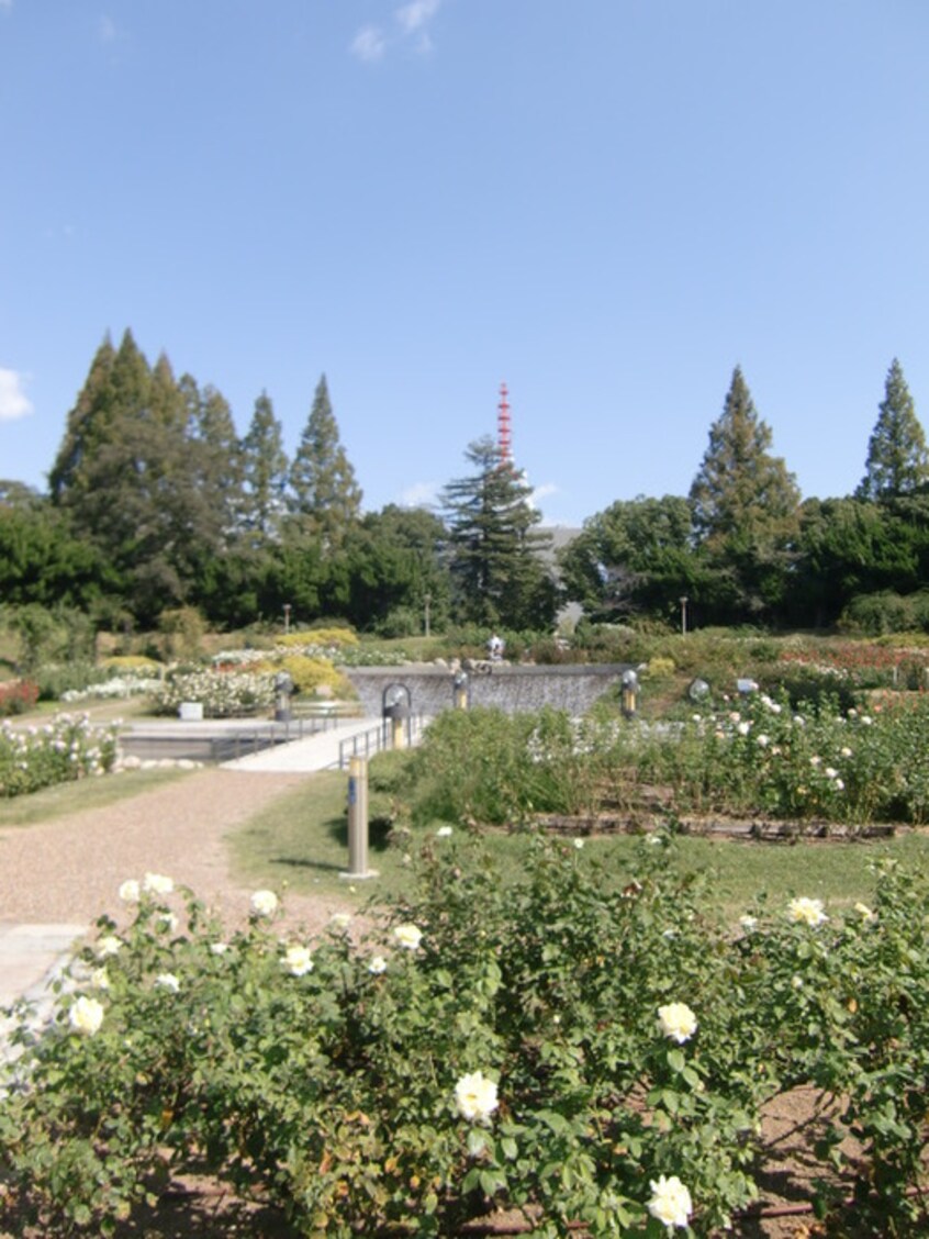 うつぼ公園(公園)まで221m セイワパレス京町堀