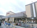 フレスコ九条店(スーパー)まで800m ベルドミ－ル洛南