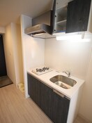 キッチン ﾌﾟﾚｻﾝｽ上町台筆ヶ崎NORTH(204)