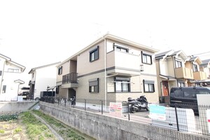 フリ－ダムエコ－