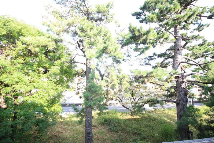 室内からの展望 リアライズ服部