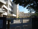 高石市立高陽小学校(小学校)まで650m マスターズエル綾園20