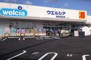 ウエルシア　和泉和気店(ドラッグストア)まで500m フレ－ベルハイツ