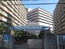総合病院(病院)まで800m BO　BEDRE　MIKURIYA