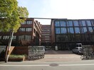 大阪国際大学(小学校)まで1100m 近江マンション