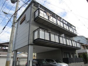ミヤビグレース