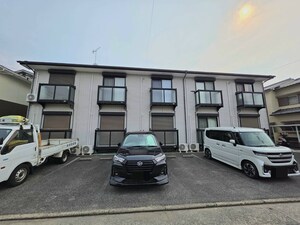 サニーハイムニシダ