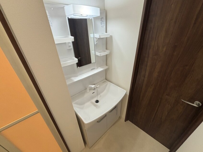 洗面 ワコーレヴィータ国香通