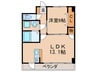 Ｒａｄｉａｎｔ 1LDKの間取り