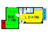フリーディオ御堂 1LDKの間取り