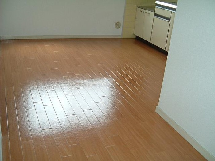 居室 水月コ－ポ