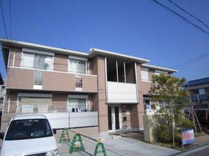 ヴィダフェリス