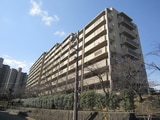 新千里桜ヶ丘ﾒｿﾞﾝｼﾃｨ七番館(101)