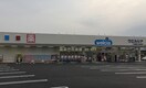 ウエルシア八尾東久宝寺店(ドラッグストア)まで308m ベルドミール末広七番館