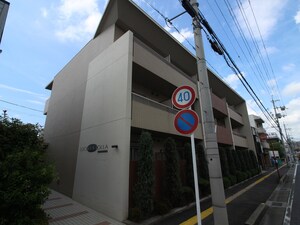 ルシールラホーヤ