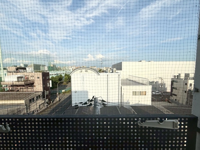 室内からの展望 バウハウス