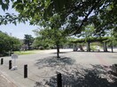 公園(公園)まで240m サンフィット甲子園