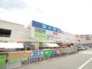 コーナン(電気量販店/ホームセンター)まで741m フロ－ラル・ステ－ジ白鷺