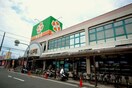 ライフ(スーパー)まで550m グリ－ンヒルズ