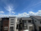 室内からの展望 ジン