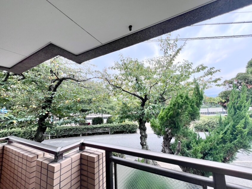 室内からの展望 メゾンサクラ