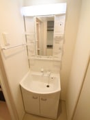 洗面 リブリ・スカイブルームーン