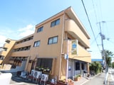 ビオラ並木台