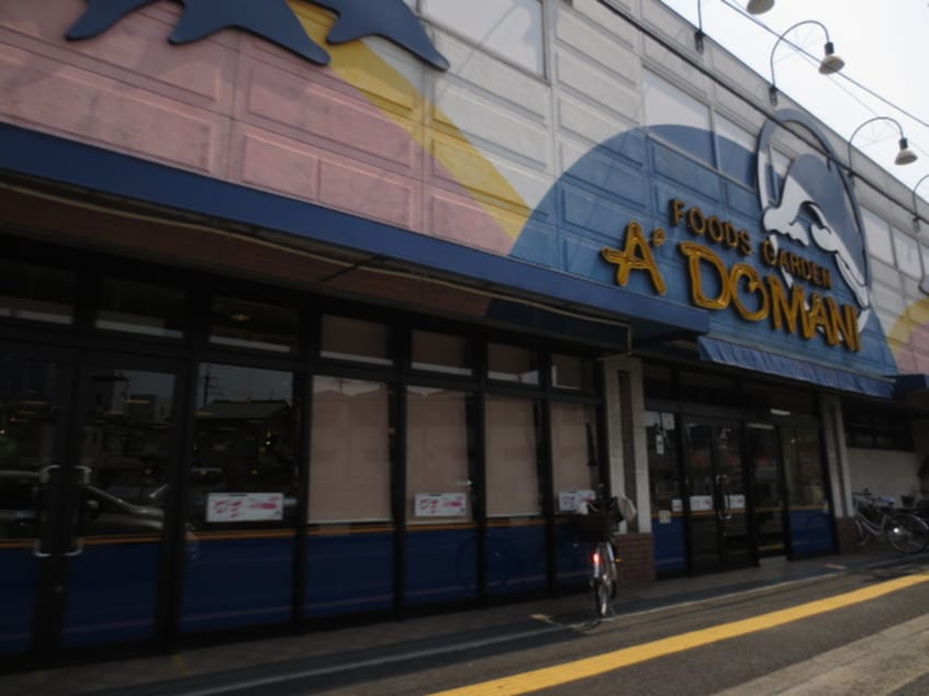 ドマ－ニ(スーパー)まで144m ルミエ－ル東太子