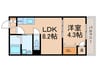 GRANDIR塚本 1LDKの間取り