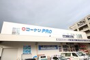 コーナンPRO(電気量販店/ホームセンター)まで590m チェーズ高辻葛野西