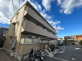 ステラ