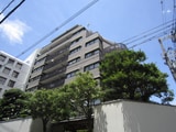 パレーシャル34