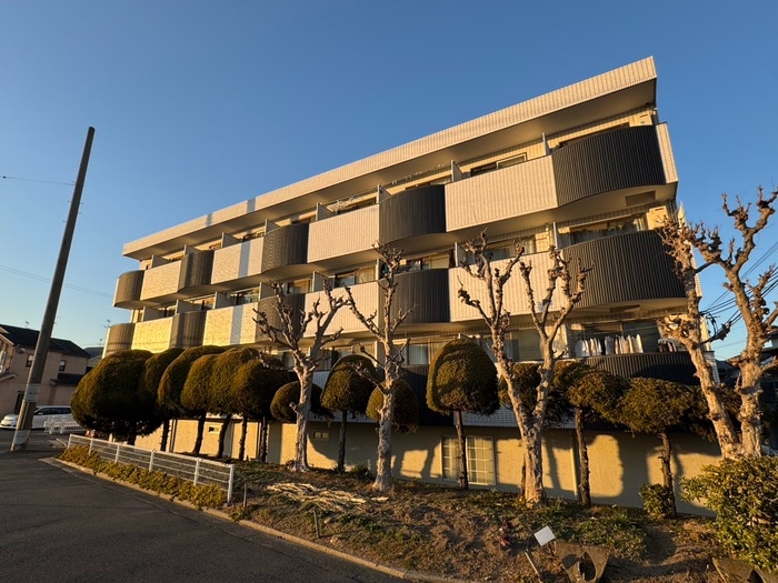 外観写真 ハイツホ－シャ