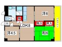 ビッグウェル武庫之荘の間取図