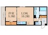 カノン蓮池 1LDKの間取り