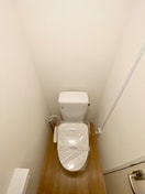 トイレ ＳＨＩＮＥ　ＰＡＳＴＥＬ