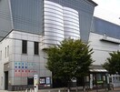 大阪市立旭図書館(図書館)まで1400m シャルマンドミール