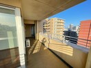 ベランダ・バルコニー トア山手ザ・神戸タワー(1006)