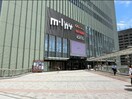 ミント神戸(映画館)まで1000m トア山手ザ・神戸タワー(1006)