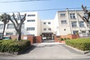 西淡路中学校(中学校/中等教育学校)まで300m 第４エンシンハイツ