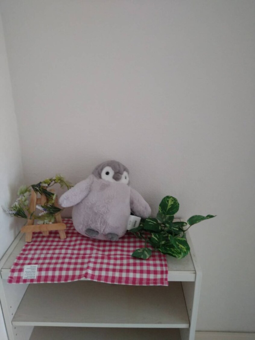 内観写真 ドゥエルミヤザキ