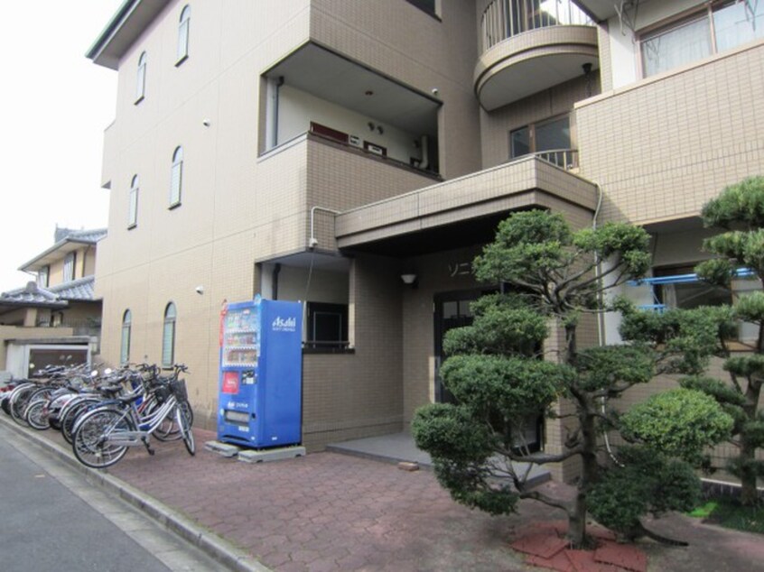 その他 ソニア・ハイム