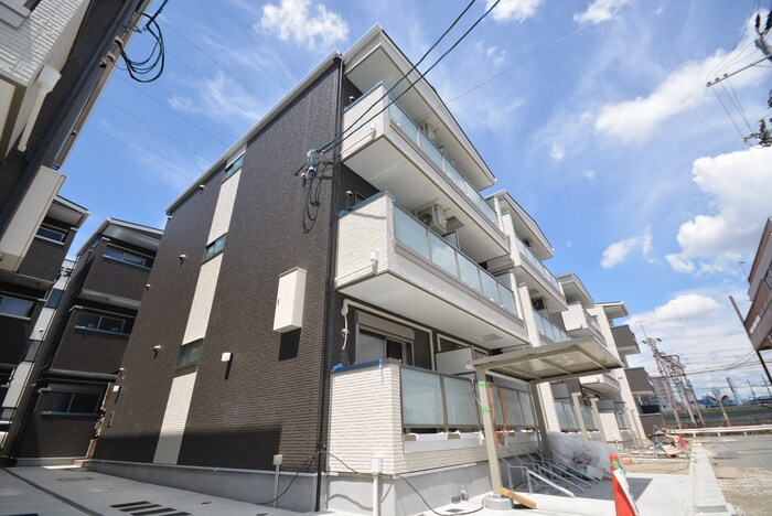 建物設備 F asecia violet